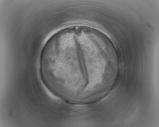 X0000113341523200910131207