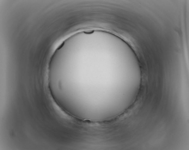 X0000113341524200910131207