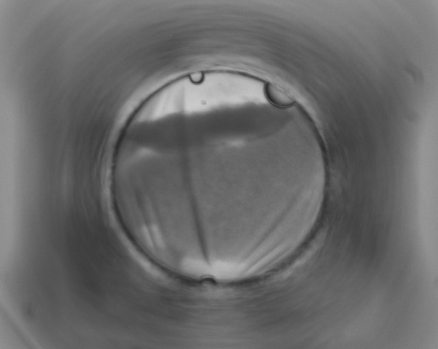 X0000113341525200910131207