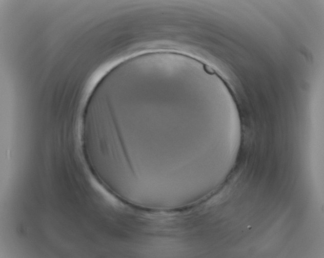X0000113341527200910131207