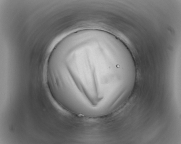 X0000113341528200910131207