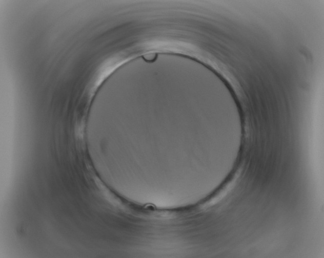 X0000113341529200910131207