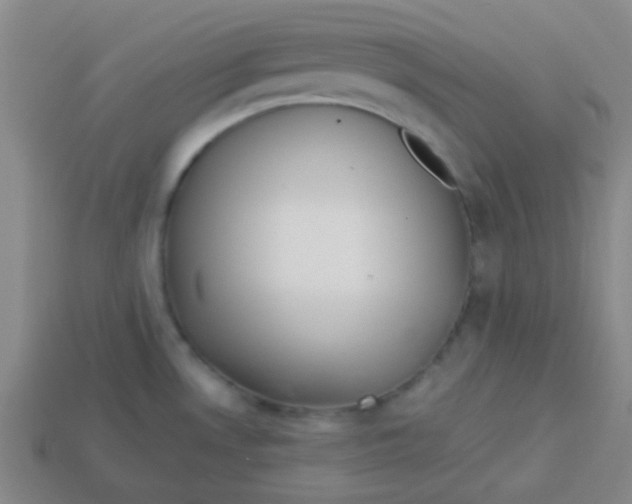 X0000113341530200910131207