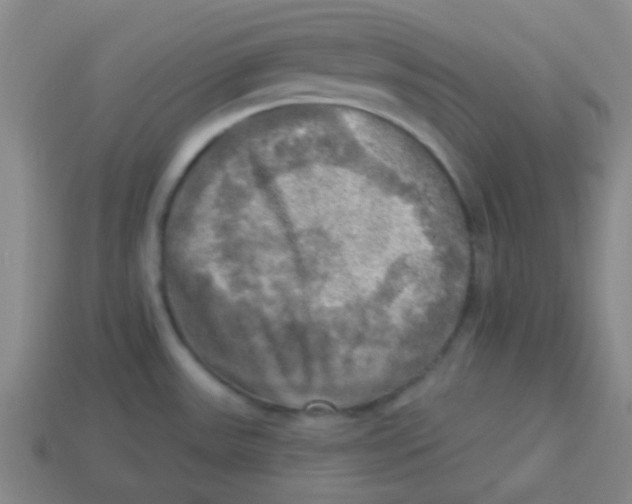 X0000113341531200910131208
