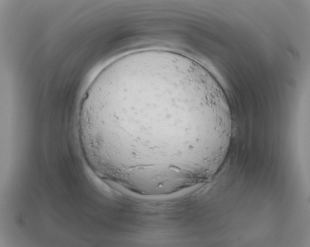 X0000113341532200910131208