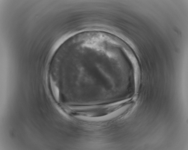X0000113341533200910131208