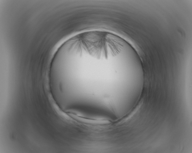 X0000113341534200910131208