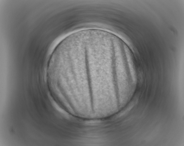 X0000113341535200910131208