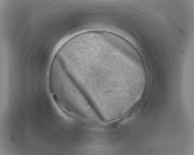 X0000113341536200910131208