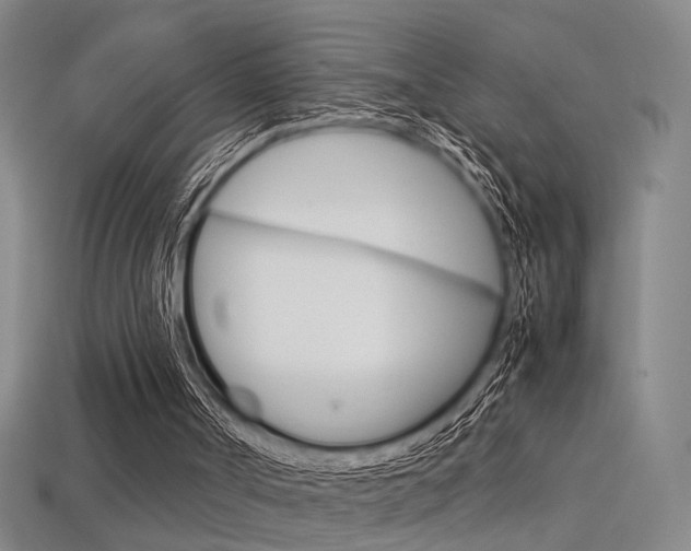X0000113350002200909151035