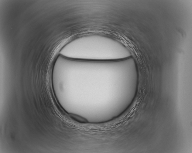 X0000113350003200909151035