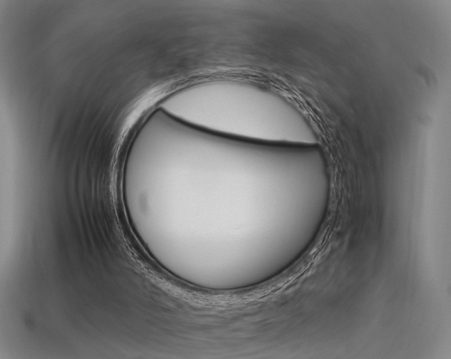 X0000113350006200909151035