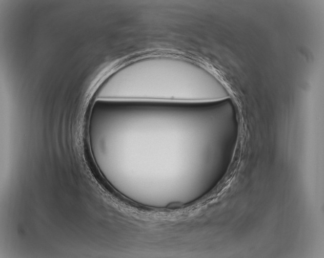 X0000113350007200909151035