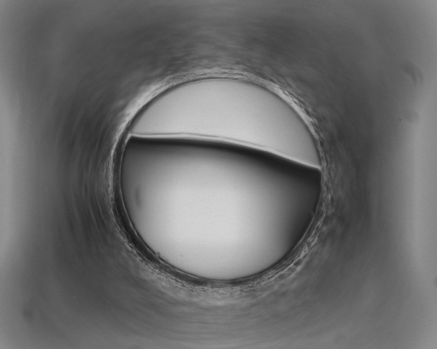 X0000113350008200909151035