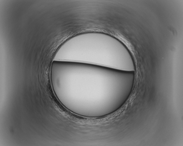 X0000113350009200909151035