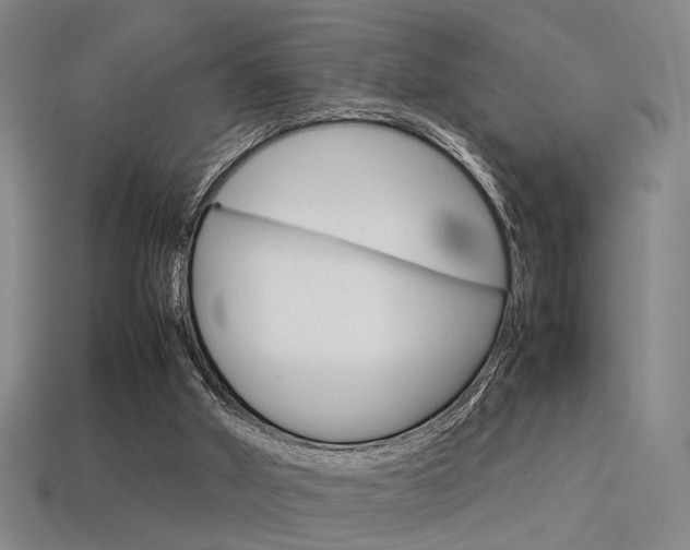 X0000113350010200909151035