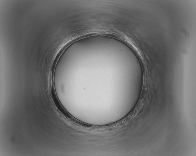 X0000113350011200909151035
