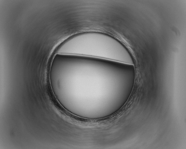 X0000113350012200909151035