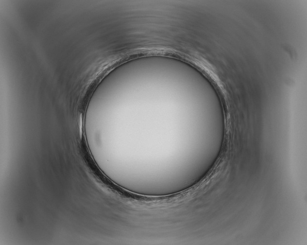 X0000113350013200909151035