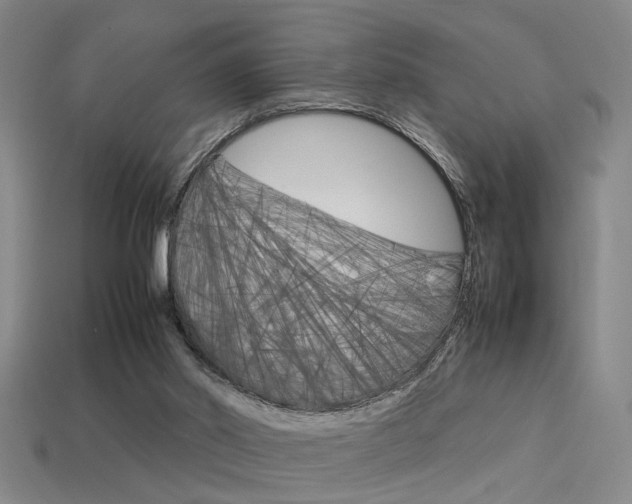 X0000113350014200909151035