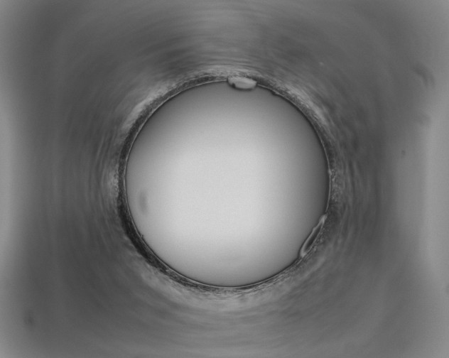 X0000113350015200909151035