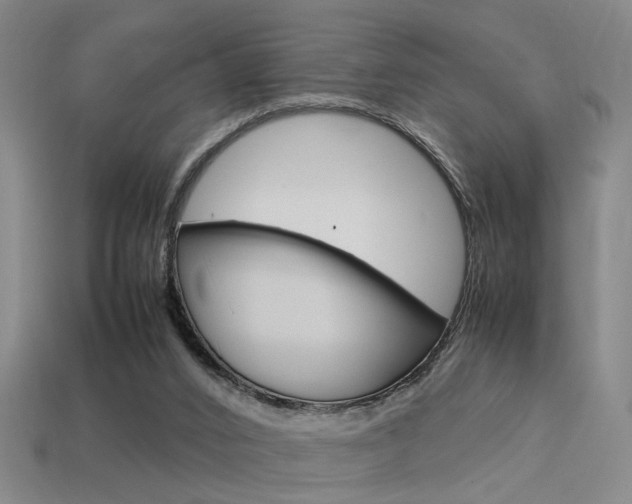 X0000113350016200909151035