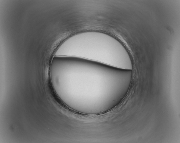 X0000113350019200909151035