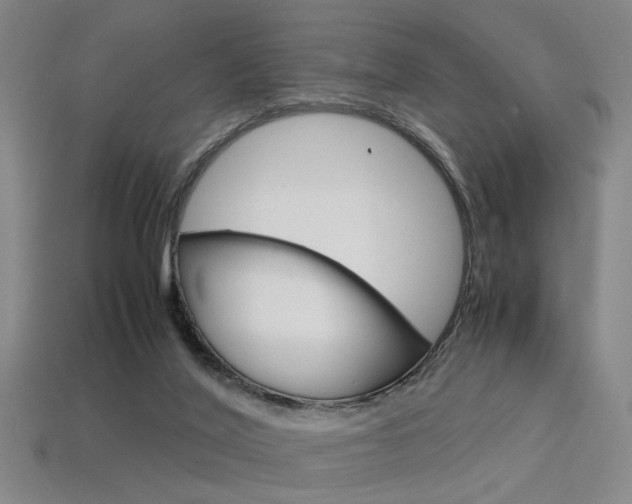 X0000113350020200909151035