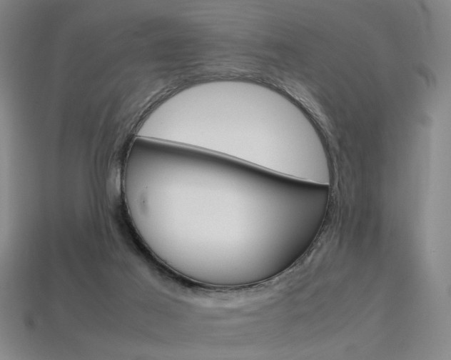 X0000113350021200909151035
