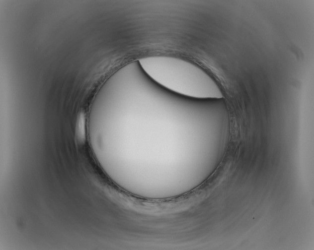 X0000113350022200909151035