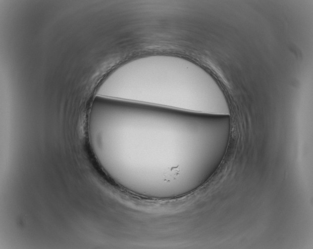 X0000113350023200909151035