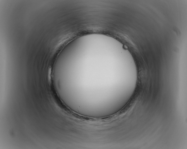 X0000113350024200909151035