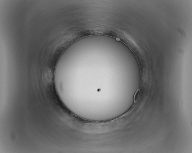 X0000113350025200909151035