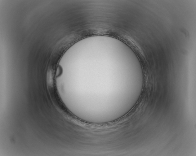 X0000113350026200909151035