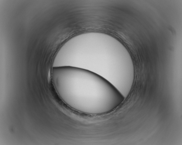 X0000113350028200909151035