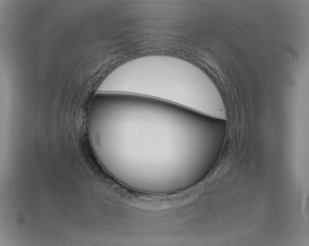 X0000113350029200909151035