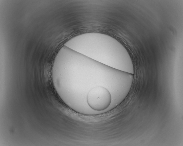 X0000113350030200909151035