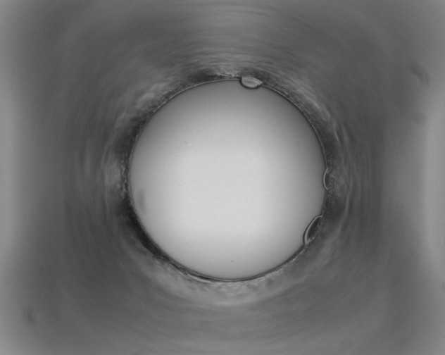 X0000113350031200909151035