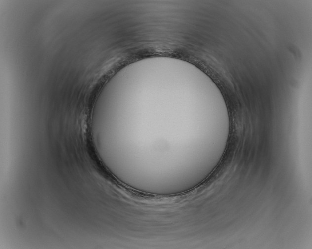 X0000113350032200909151035