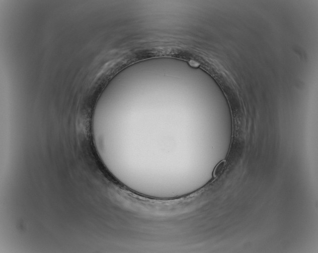 X0000113350035200909151035