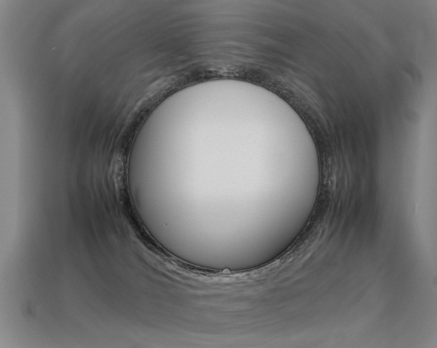 X0000113350036200909151035