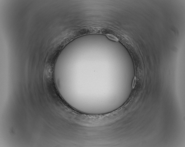 X0000113350037200909151035