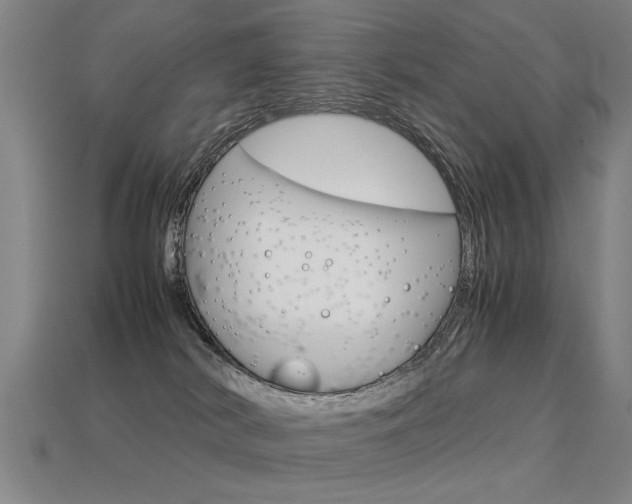 X0000113350038200909151035