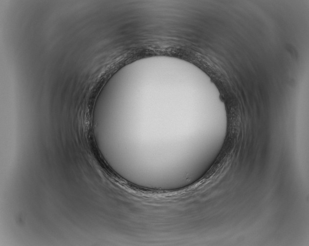 X0000113350040200909151035