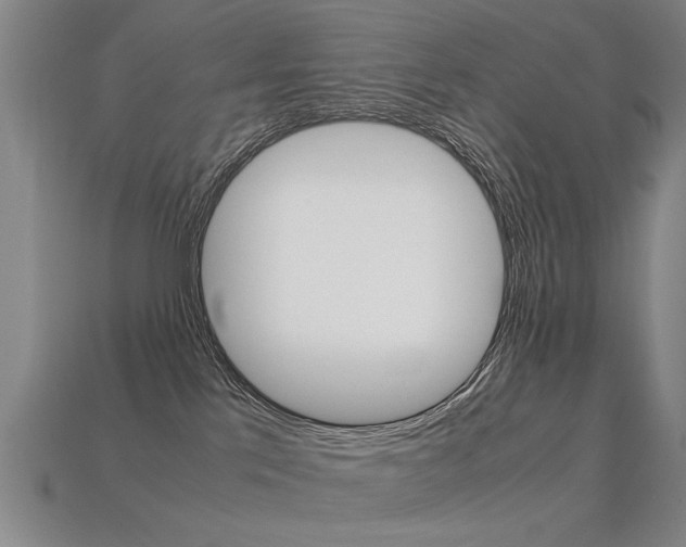 X0000113350041200909151035