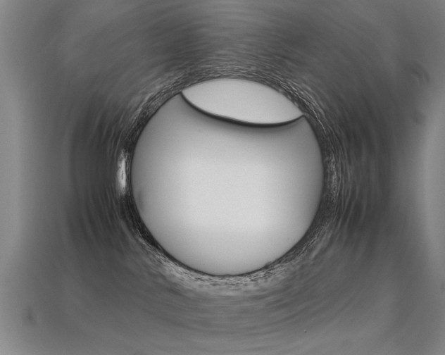 X0000113350042200909151035