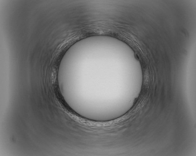 X0000113350043200909151035