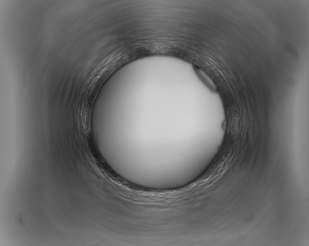 X0000113350044200909151035