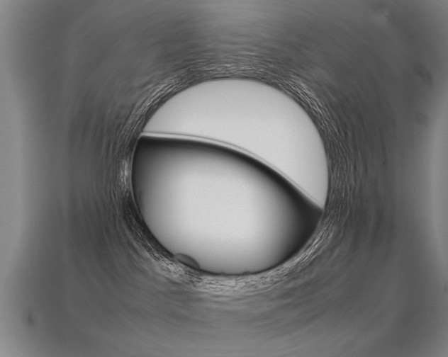 X0000113350045200909151035