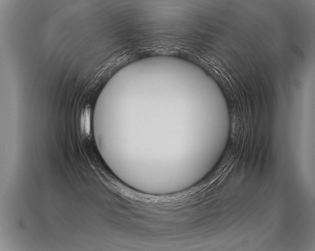 X0000113350046200909151035